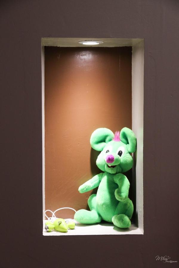 Gite De La Souris Verte Molamboz Экстерьер фото